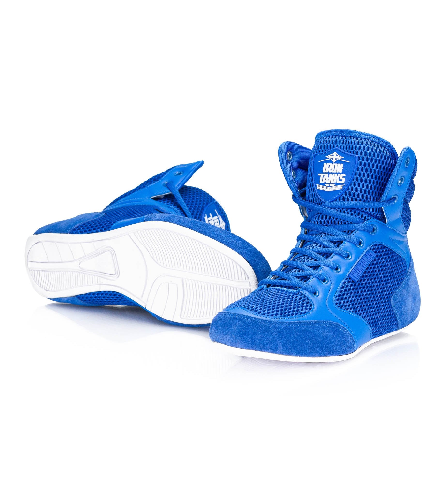 Titan Gym Shoes Blue Deadlift Workout Bodybuilding Flat | Iron Tanks